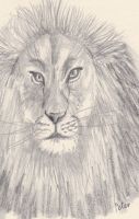 King of the Lions